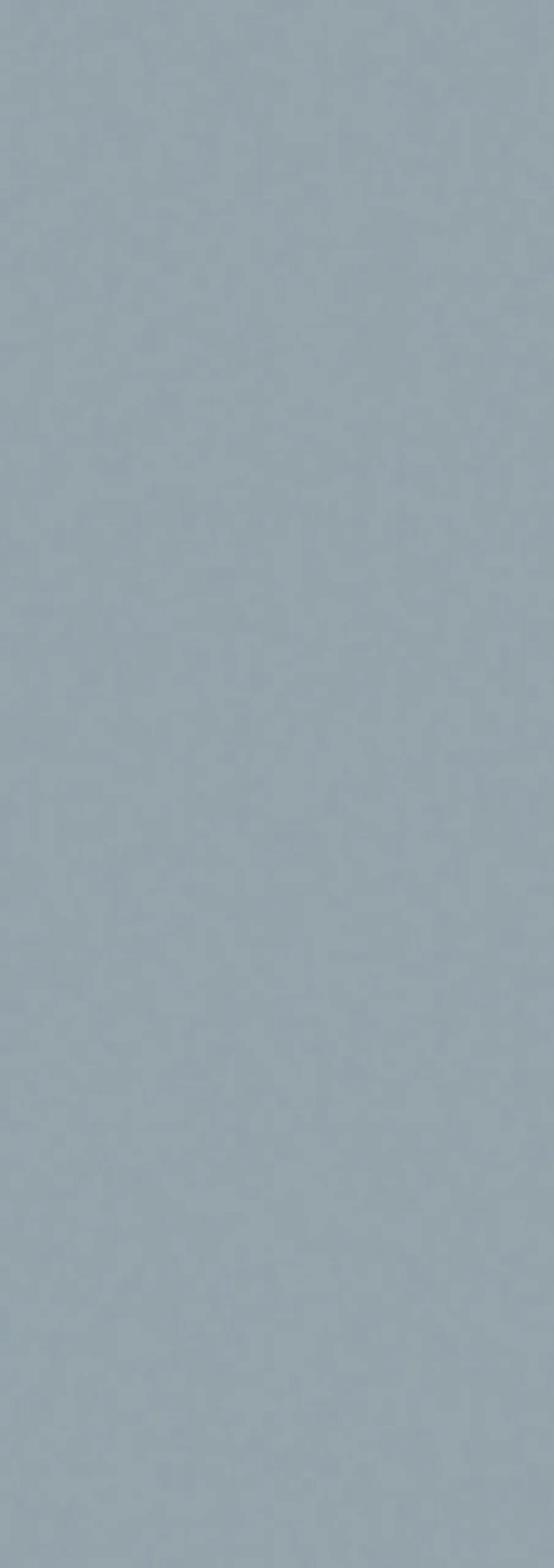 Schulte 2 panneaux muraux de salle de bains l.90x255 cm, gris argenté, DécoDesign