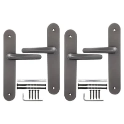 2 poignées de porte sur plaque rond Amga, entraxe 195mm, coloris titane