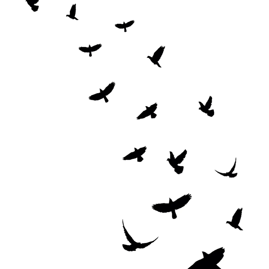 15 stickers oiseaux anti-collision translucide 85 x 85 cm-Ambiance Sticker Online