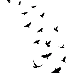 Ambiance Sticker 15 stickers oiseaux anti-collision translucide 55 x 55 cm