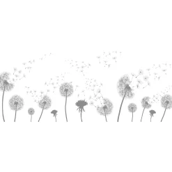 Ambiance Sticker Adhésif Film Fenêtre Anti Regard Occultant - PISSENLITS - Stickers Autocollant Brise-Vue pour Vitres & Porte de Douche - 40x100cm