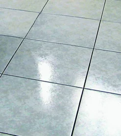 Antidérapant Invisible Sol Glissant Gliss'Guard Ultra Puissant Spray 750ml-Guard Industrie Outlet