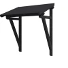 Auvent bois Paderborn 2, 242x156cm, épicéa, traitement coloré anthracite-Skan Holz Discount