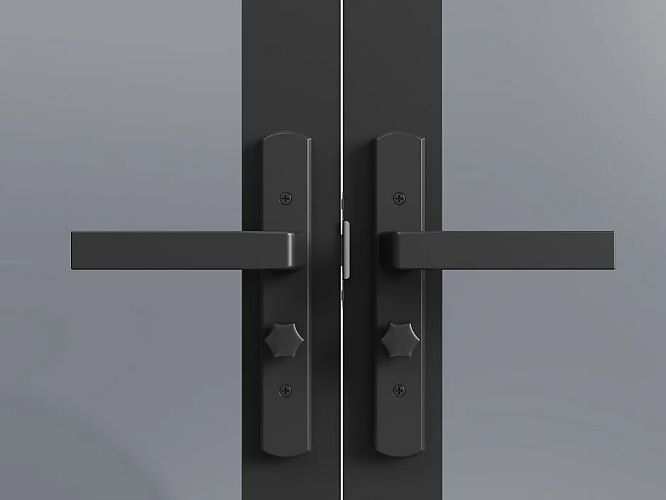 Vente-unique Bloc porte réversible à deux battants en aluminium et verre trempé fumé - 2 x H204 x L73 cm - Noir - MASERU