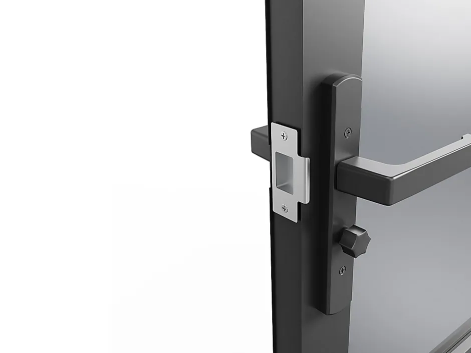 Vente-unique Bloc porte réversible à deux battants en aluminium et verre trempé fumé - 2 x H204 x L73 cm - Noir - MASERU