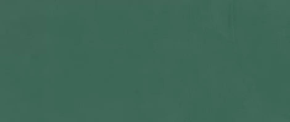 Ro'Ma Carrelage Carrelage effet Enduit Vert Pin 120x50x0,85 cm Mat Calviro - Mur intérieur (vendu par carton de 1,8 m²) -