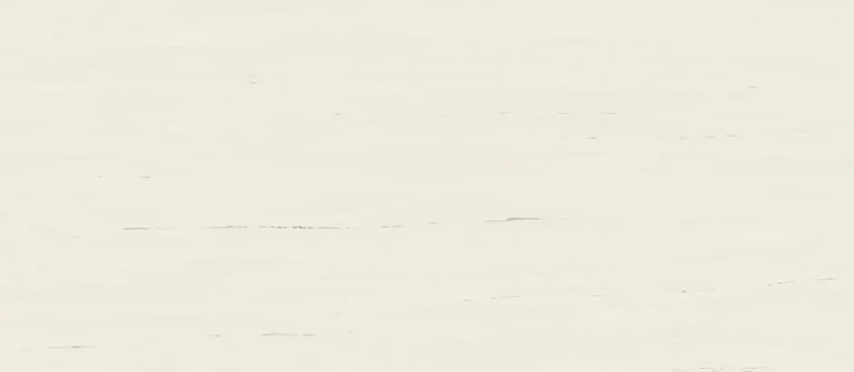 Ro'Ma Carrelage Carrelage effet Marbre Blanc Dolomite 278x120x0,6 cm Mat Marvillo - Mur intérieur (vendu par carton de 3,336 m²) -