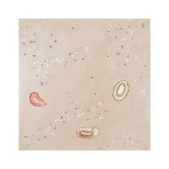 Gioia Materia Carrelage grès cérame effet terrazzo FRAGMENT 60x60cm Décor Beige - Naturel - boîte de 1.42 m2