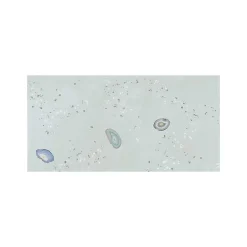 Carrelage grès cérame effet terrazzo FRAGMENT 100x50cm Décor Vert - Naturel - boîte de 1.49 m2-Gioia Materia Online