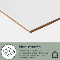 GoodHome Carrelage mural intérieur blanc mat L.60 x l.30 cm x ép.9 mm, Perouso Crizi