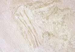 Concept Mosaïque carrelage PERUGIA BEIGE 45x65 cm imitation pierre