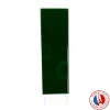 Aelle Carrelage Carrelage sol / mur briquette rectangulaire uni vert émeraude brillant 5X15 cm FÄRGBLOCK LUCIDO SMERALDO FGB107L