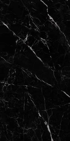 Limcaro Carrelage sol / mur effet marbre noir SAINT LAURENT l.60 x L.120 cm Brilliant