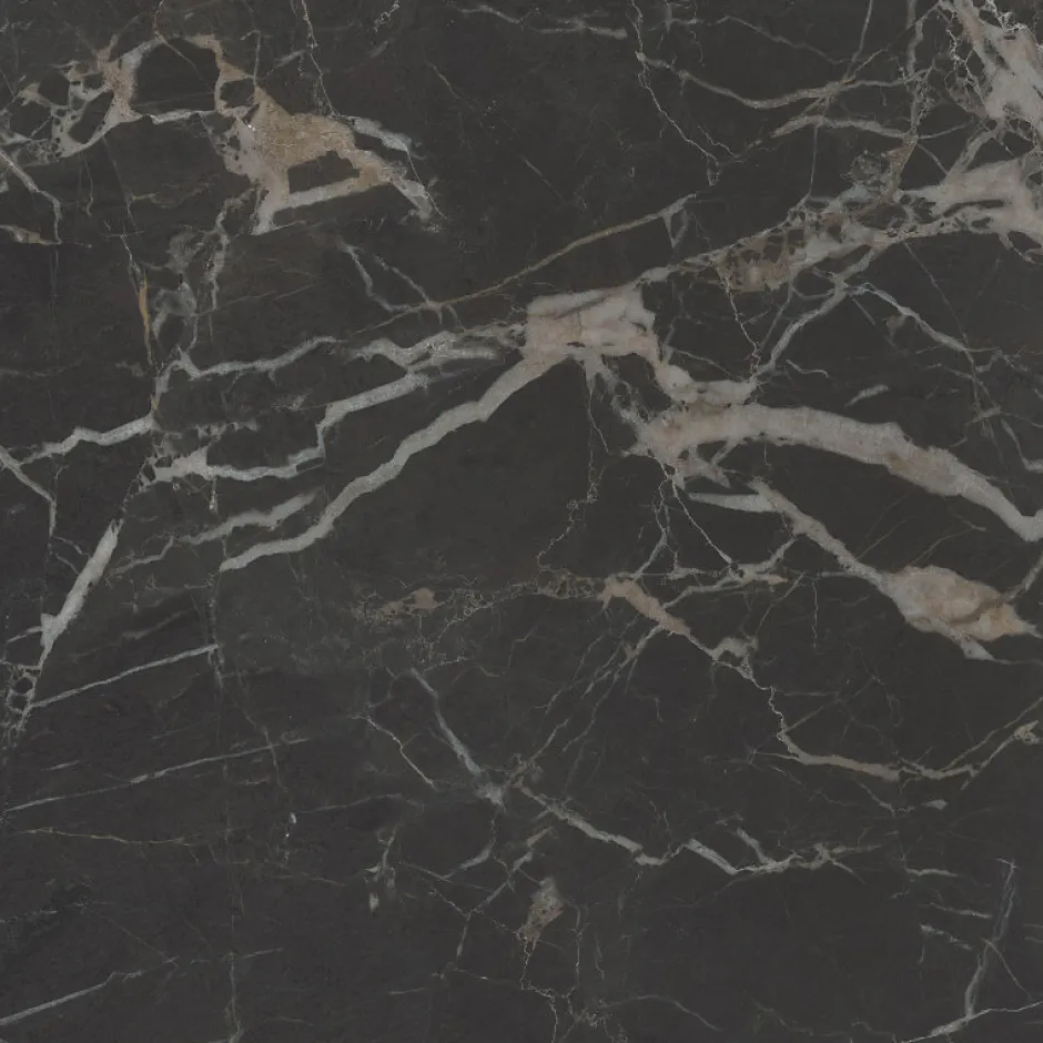Aelle Carrelage Carrelage sol / mur effet marbre noir 120x120 cm mate - MYK- ST LAURENT