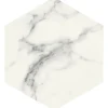 Carrelage sol / mur hexagonal effet marbre blanc mate 25x21,6 cmSCULTOREA statuario vena argento esagona J469-Aelle Carrelage Sale