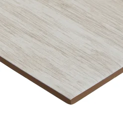Carrelage sol et mur blanc 15x60cm Wychwood-GoodHome Best