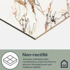 Carrelage sol et mur effet marbre blanc et rouge brillant L.60,8 x l.60,8 cm x ép.8,5 mm, Aruma-GoodHome Discount