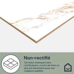 GoodHome Carrelage sol et mur effet marbre blanc et doré brillant L.60,8 x l.60,8 cm x ép.8,5 mm - lot de 4, Aruma