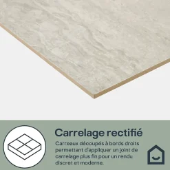 Carrelage sol et mur intérieur gris clair effet pierre L.59,5 x l.29,5 cm x ép.8,7 mm, Kyat-GoodHome Hot