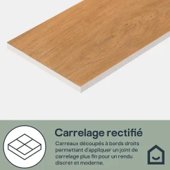 Carrelage sol et mur intérieur effet bois brut foncé L.120 x l.20 cm x ép.9 mm, Antic Rustic-
