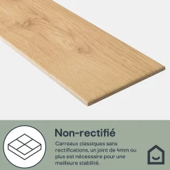GoodHome Carrelage sol et mur intérieur effet bois brut beige L.15 x l.90 cm x ép.9 mm, Lulea