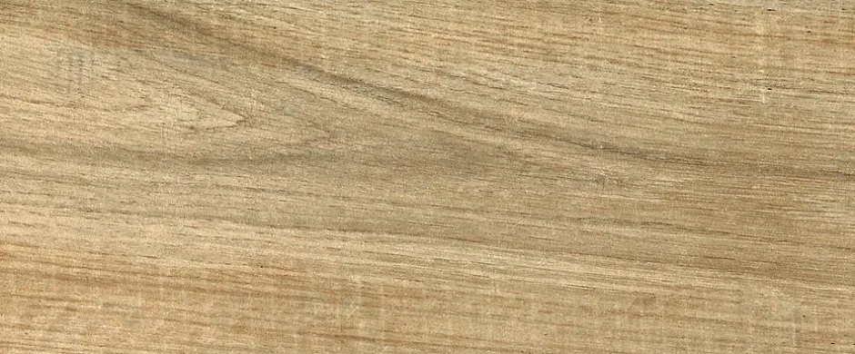 Carrelage sol et mur intérieur effet bois brut mat L.90 x l.15 cm, Woodland