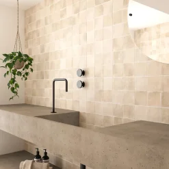 Carrelage sol et mur Zoon beige 10 x 10 cm- Best