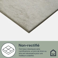GoodHome Carrelage sol intérieur beige effet pierre 61,5 x l.30,8 cm x ép.8 mm, Shaded