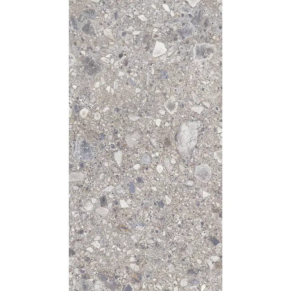 Allocarrelage Carrelage Terrazzo 60x120 Ceppo Nuovo Silver Poli Rectifie -