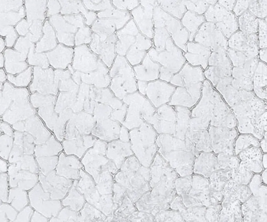 Carrelage Zinc Natural Blanc - Mat 120 x 45cm ( vendu par boite de 1,6 m² )-Apavisa Discount