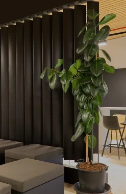 Cloison amovible à lames orientables Ella noir H.252 x l.18cm-Geom Best