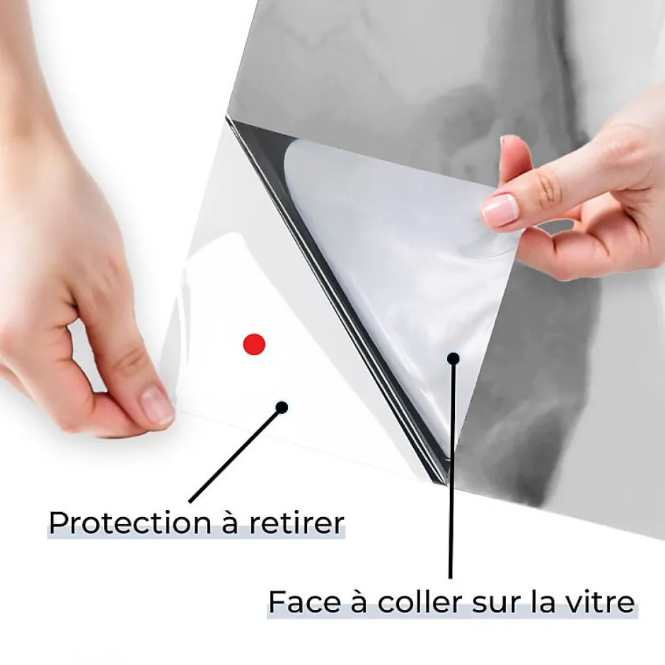 DIMEXACT - Brise vue pour fenêtre à grand vitrage vis-à-vis lointain - alu clair - 75 cm x 1.5 m - en Rouleau