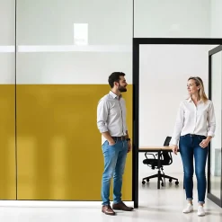 DIMEXACT - Film occultant or brillant pour fenêtre - 122 cm x 2.5 m - en Rouleau