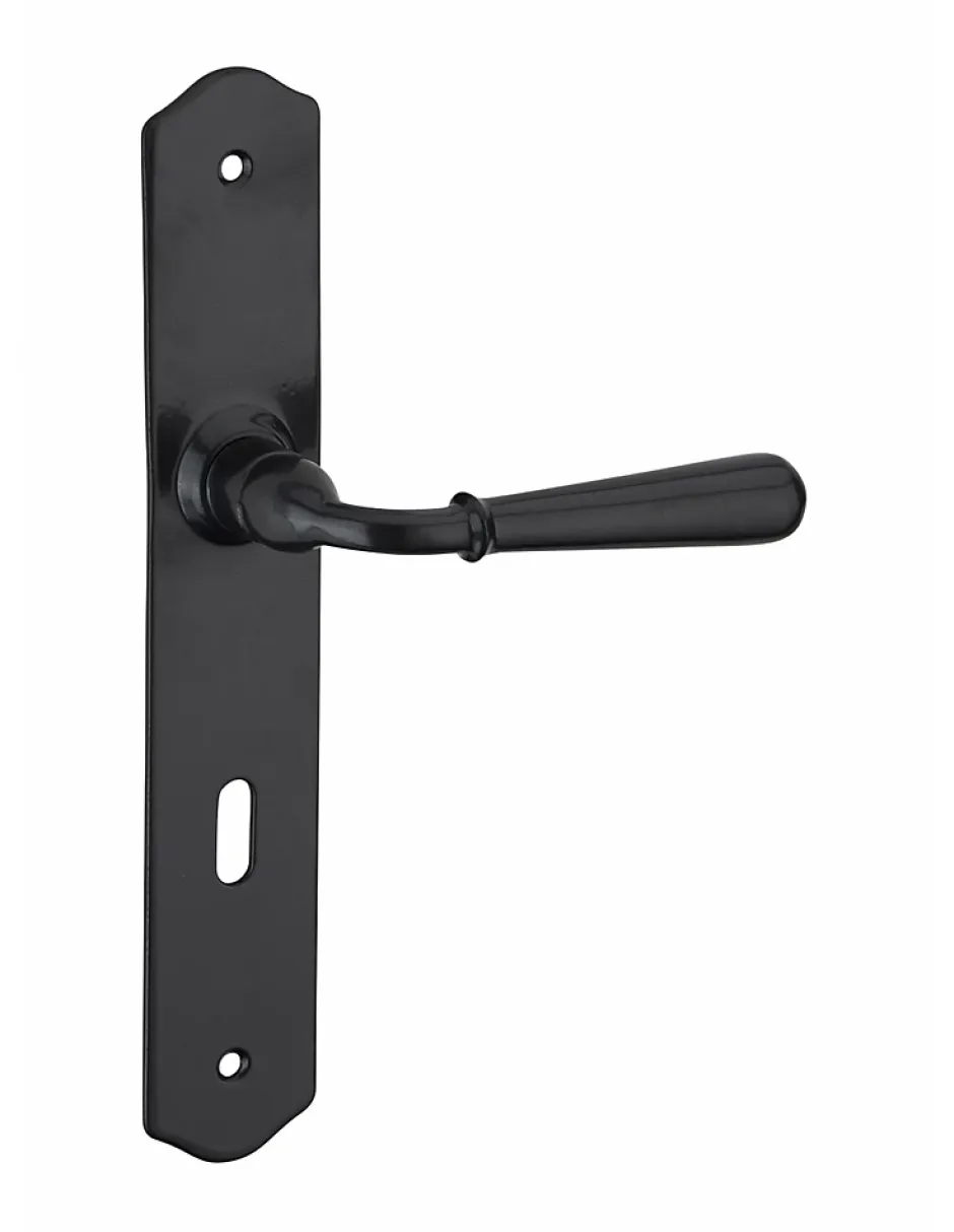 Ensemble de poignées pour porte de chambre Charon trou de clé, carré 7mm, entr'axes 195mm, acier patiné --Thirard Sale