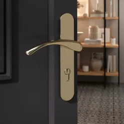 Ensemble poignée sur plaque rond Ruis effet laiton doré L.138.5mm x l.40mm entraxe 195mm-GoodHome Best