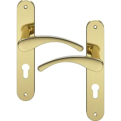 Ensemble poignée sur plaque rond Ruis effet laiton doré L.138.5mm x l.40mm entraxe 195mm-GoodHome Best