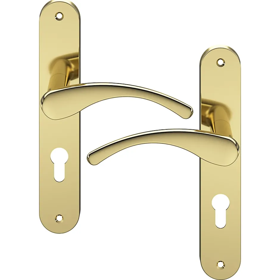 Ensemble poignée sur plaque rond Ruis effet laiton doré L.138.5mm x l.40mm entraxe 195mm-GoodHome Best