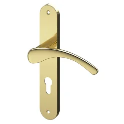 Ensemble poignée sur plaque rond Ruis effet laiton doré L.138.5mm x l.40mm entraxe 195mm-GoodHome Best