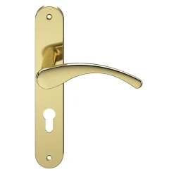 Ensemble poignée sur plaque rond Ruis effet laiton doré L.138.5mm x l.40mm entraxe 195mm-GoodHome Best