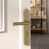 Ensemble poignée sur plaque rondcylindre Tudy effet laiton brillant doré L.119mm x l.41mm entraxe 195mm-GoodHome Discount