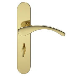 GoodHome Ensemble poignée sur plaque rond à condamnation Ruis effet laiton doré L.138.5mm x l.42mm entraxe 165-195mm