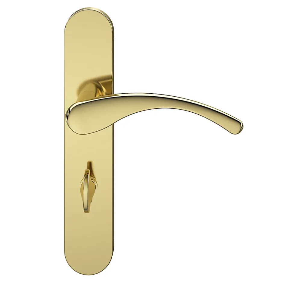 GoodHome Ensemble poignée sur plaque rond à condamnation Ruis effet laiton doré L.138.5mm x l.42mm entraxe 165-195mm