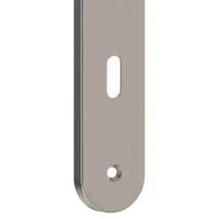 GoodHome Ensemble poignée sur plaque rond Esles aluminium L.243 x l.40mm entraxe 195mm