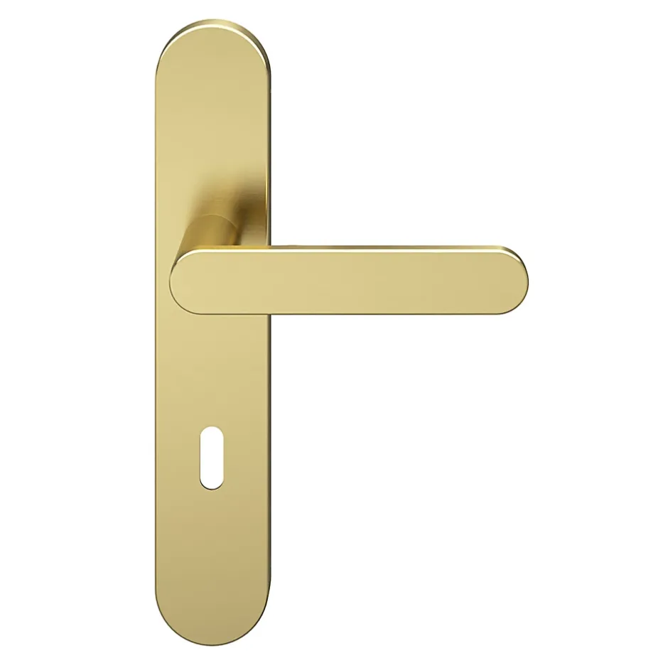 Ensemble poignée sur plaque rond serrure Minzh effet laiton satin doré L.120mm x l.42mm entraxe 165-195mm-GoodHome Hot