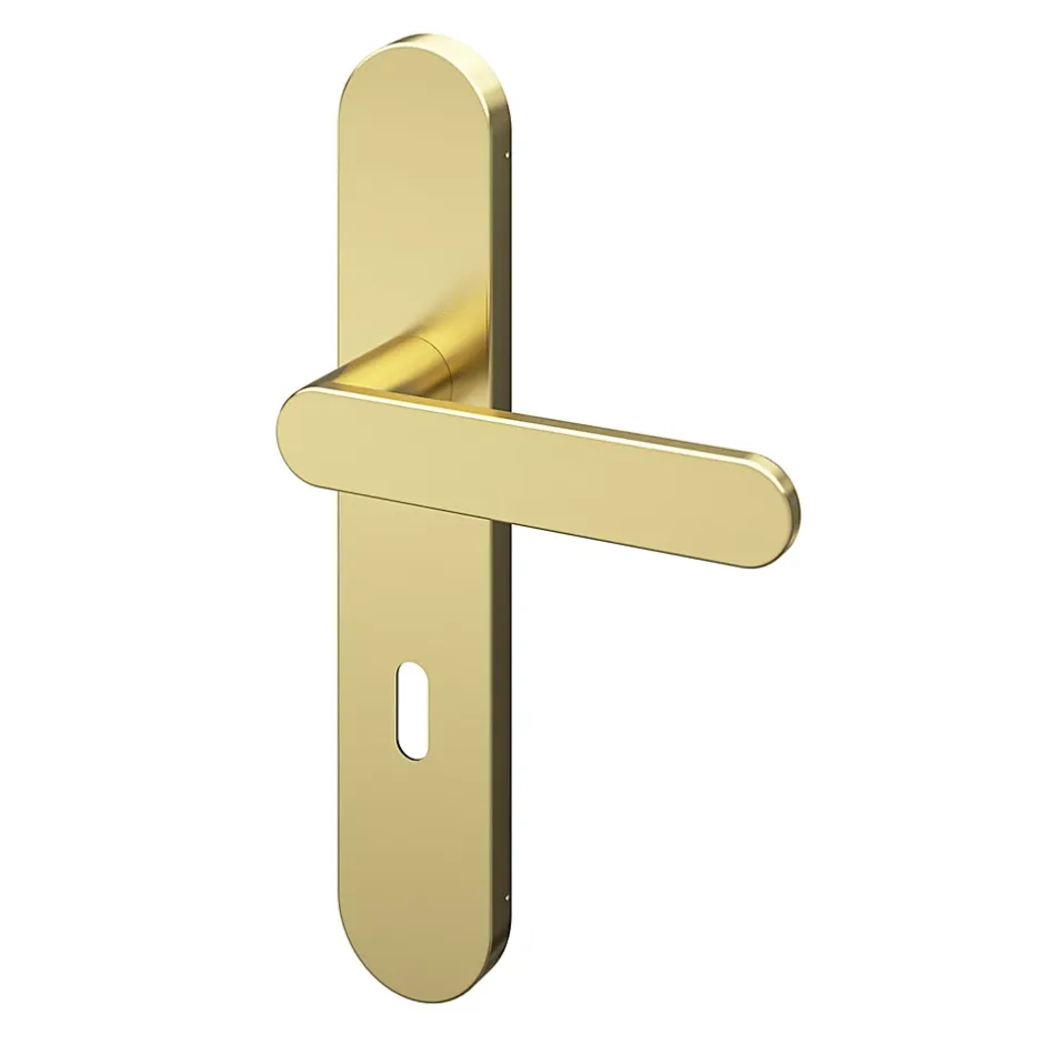 Ensemble poignée sur plaque rond serrure Minzh effet laiton satin doré L.120mm x l.42mm entraxe 165-195mm-GoodHome Hot