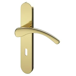 Ensemble poignée sur plaque rond serrure Ruis effet laiton doré L.138.5mm x l.42mm entraxe 165-195mm-GoodHome New