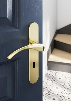 Ensemble poignée sur plaque rond serrure Ruis effet laiton doré L.138.5mm x l.42mm entraxe 165-195mm-GoodHome New