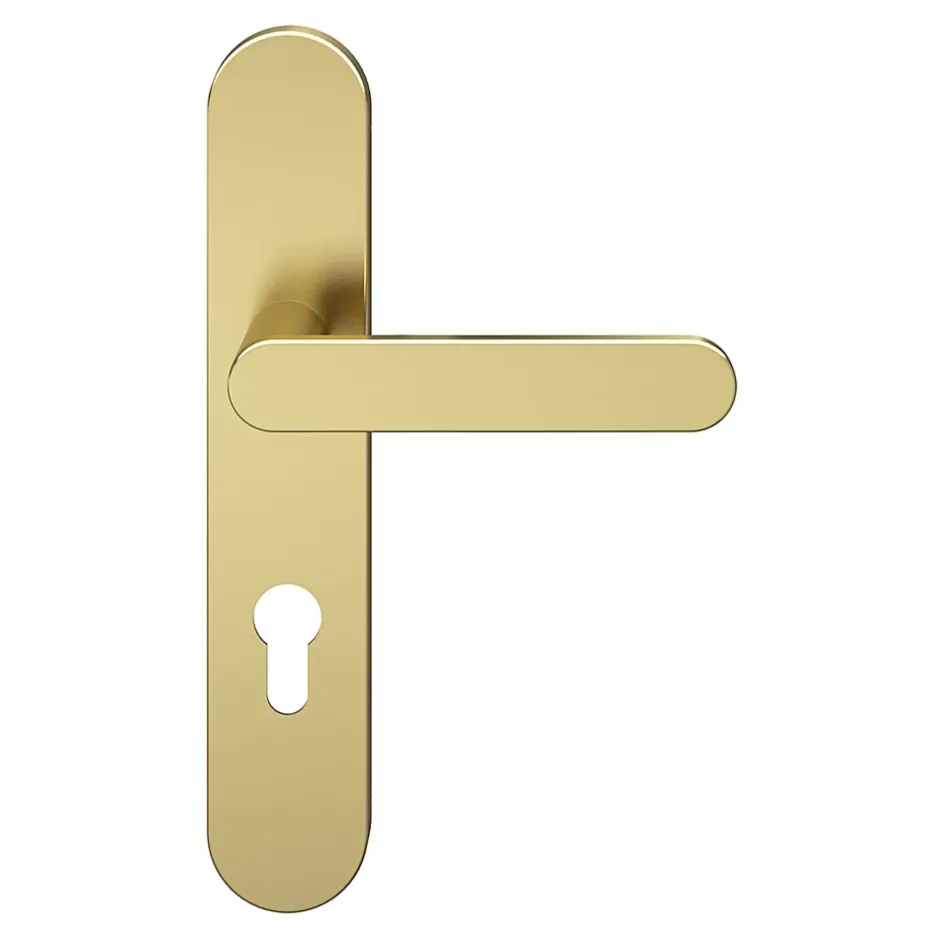 GoodHome Ensemble poignée sur plaque rondcylindre Minzh effet laiton satin doré L.120mm x l.42mm entraxe 165-195mm