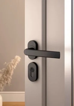 GoodHome Ensemble poignée sur rosace Sel scroll à visser Primel mat gris anthracite