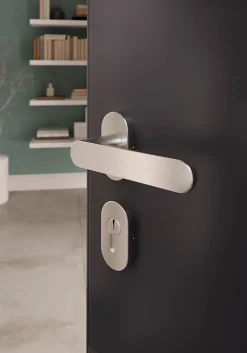 Ensemble poignée sur rosace à visser Minzh effet nickel satin gris Ø63mm-GoodHome Best